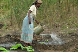Bread for Life garden training